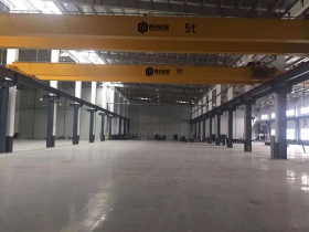 雙（shuāng）梁（liáng）橋式起重機5t