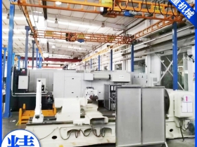 剛（gāng）性軌道起（qǐ）重機